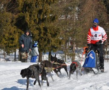 Uličská Vlčia stopa 2012