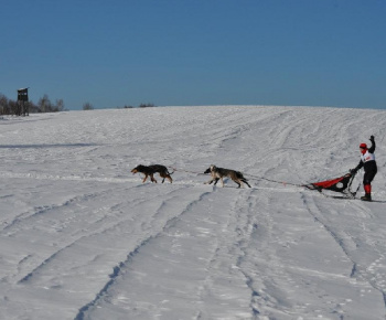 Uličská Vlčia stopa 2012