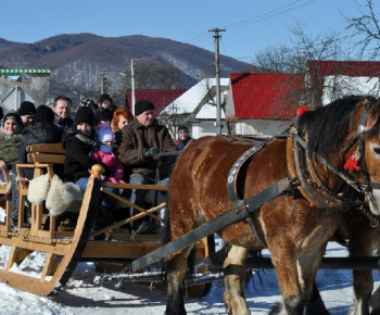 Uličská Vlčia stopa 2012