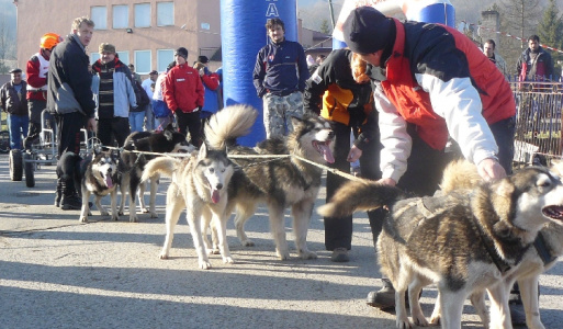 Uličská Vlčia stopa Uličská Vlčia stopa