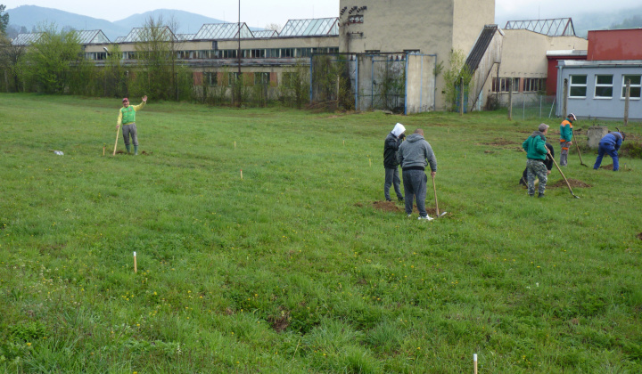 4. fotografia fotogalérie Možnosti turistiky / Ovocný sad - foto