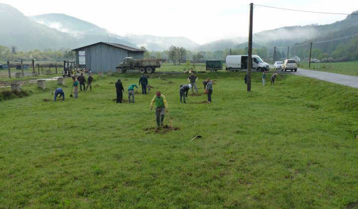 7. fotografia fotogalérie Možnosti turistiky / Ovocný sad - foto