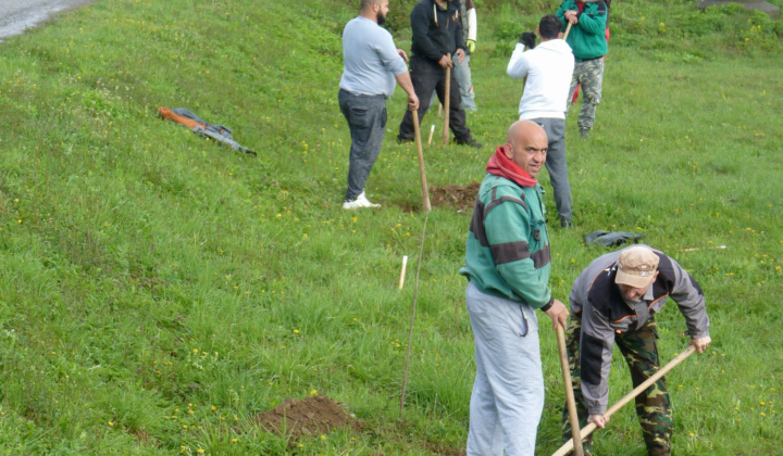 18. fotografia fotogalérie Možnosti turistiky / Ovocný sad - foto