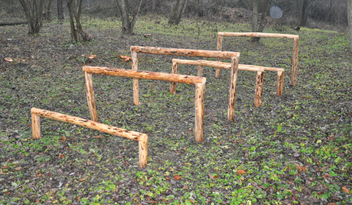 8. fotografia fotogalérie Možnosti turistiky / Vtáčie hniezdo - foto
