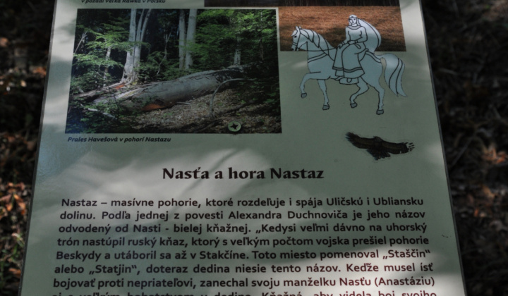 5. fotografia fotogalérie Možnosti turistiky / Krása spod Polonín oživená v starom dreve - foto