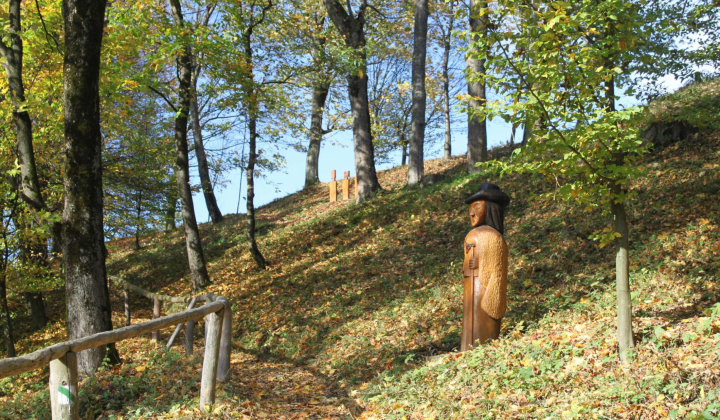 16. fotografia fotogalérie Možnosti turistiky / Krása spod Polonín oživená v starom dreve - foto