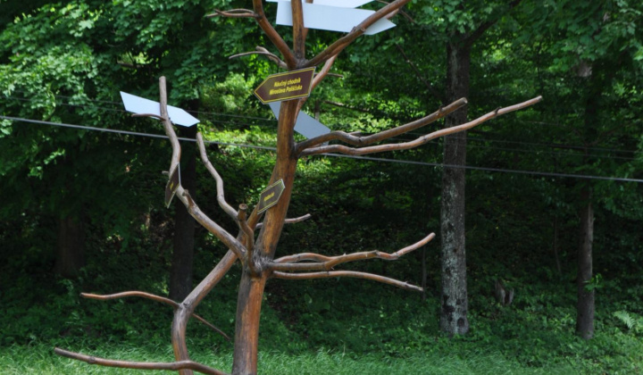 18. fotografia fotogalérie Možnosti turistiky / Drevené cerkvi - foto