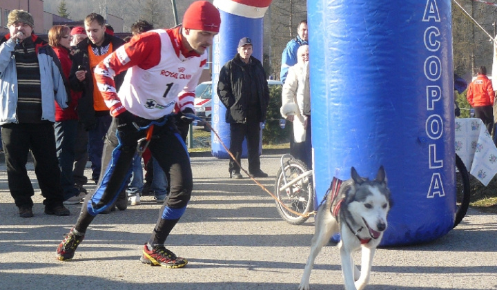 5. fotografia fotogalérie Uličská Vlčia stopa