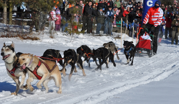 2. fotografia fotogalérie Uličská Vlčia stopa 2012