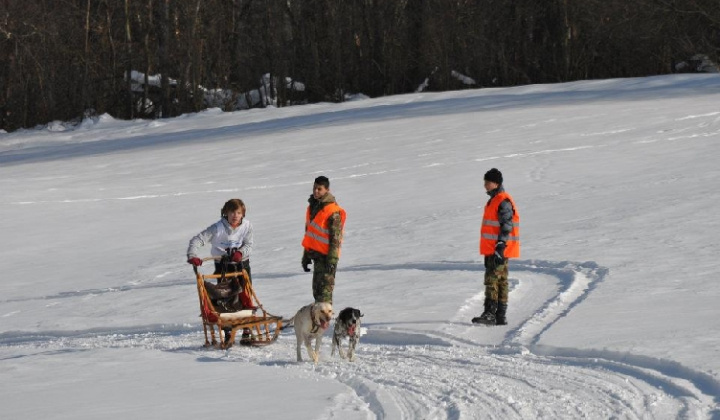 10. fotografia fotogalérie Uličská Vlčia stopa 2012