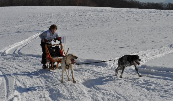 11. fotografia fotogalérie Uličská Vlčia stopa 2012