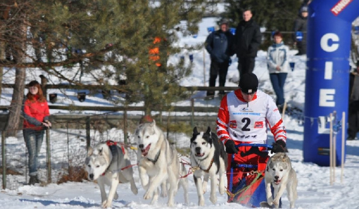 13. fotografia fotogalérie Uličská Vlčia stopa 2012