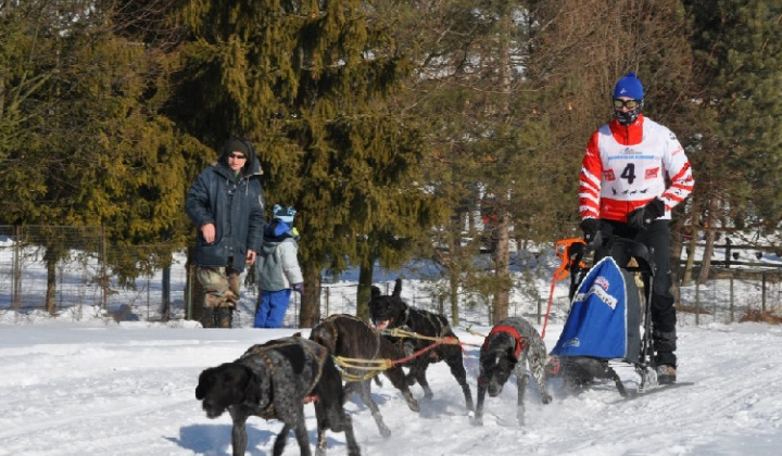 14. fotografia fotogalérie Uličská Vlčia stopa 2012