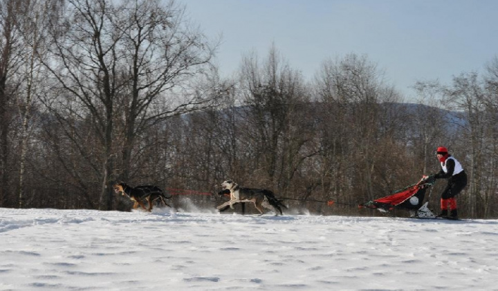 17. fotografia fotogalérie Uličská Vlčia stopa 2012