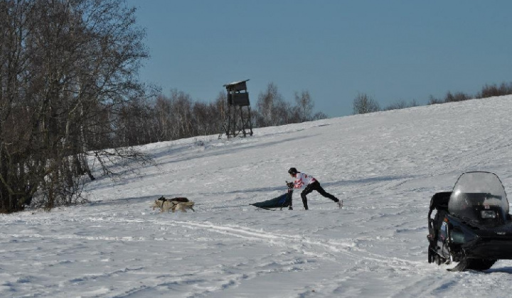 19. fotografia fotogalérie Uličská Vlčia stopa 2012