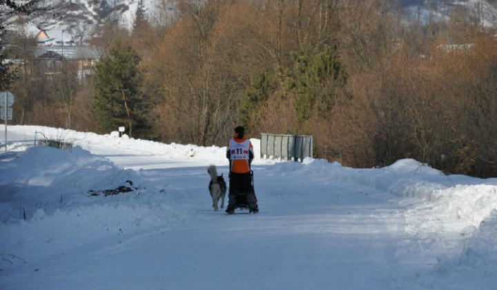 20. fotografia fotogalérie Uličská Vlčia stopa 2012