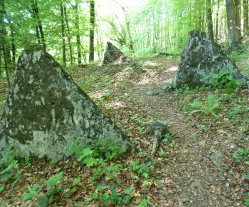 Arpádová línia