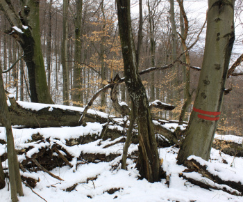 NPR Rožok NPR Rožok