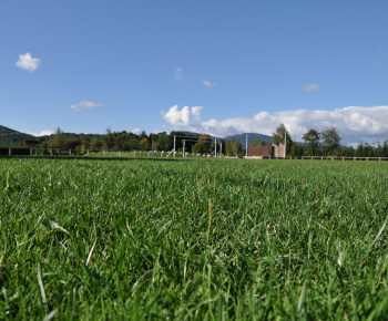 Rybník