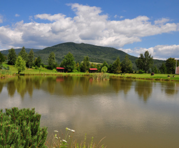 Rybník