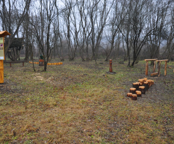 Vtáčie hniezdo