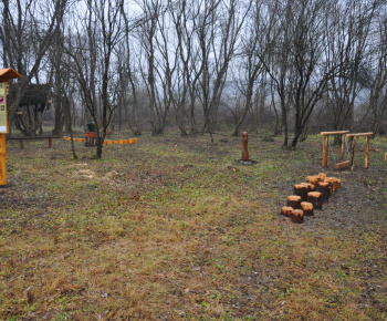 Vtáčie hniezdo