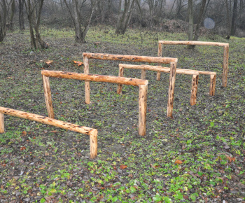 Vtáčie hniezdo