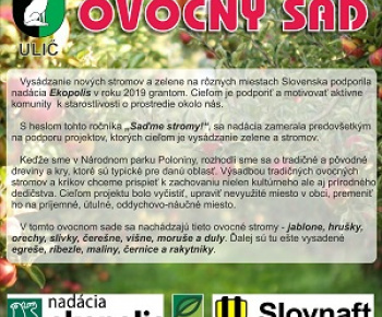 Ovocný sad Ovocný sad