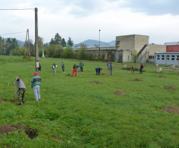 Ovocný sad Ovocný sad