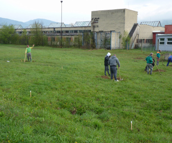 Ovocný sad Ovocný sad