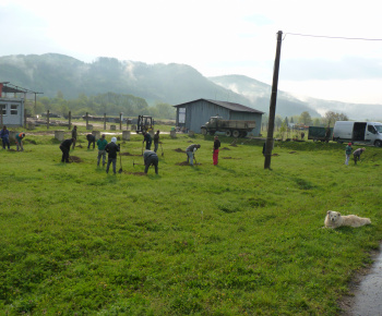 Ovocný sad Ovocný sad