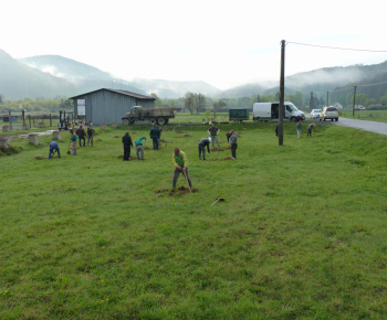 Ovocný sad Ovocný sad