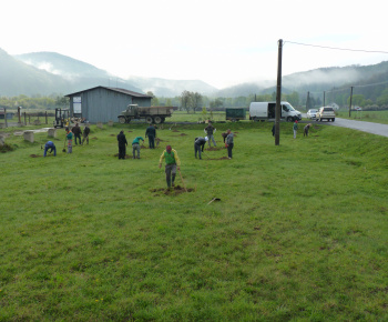 Ovocný sad Ovocný sad