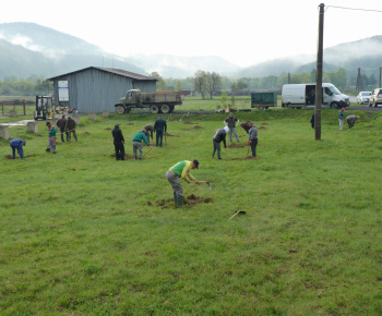 Ovocný sad Ovocný sad