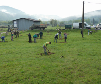 Ovocný sad Ovocný sad