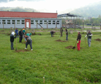 Ovocný sad Ovocný sad