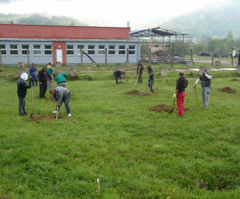 Ovocný sad Ovocný sad