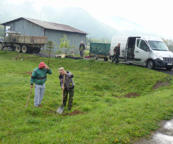 Ovocný sad Ovocný sad