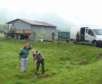 Ovocný sad Ovocný sad