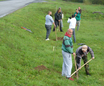 Ovocný sad Ovocný sad