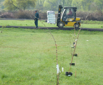 Ovocný sad Ovocný sad