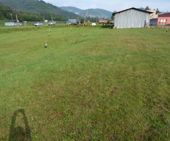 Ovocný sad Ovocný sad