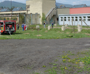 Ovocný sad Ovocný sad