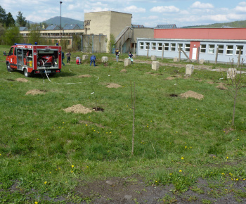 Ovocný sad Ovocný sad