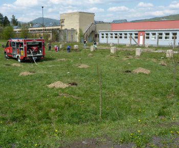 Ovocný sad Ovocný sad