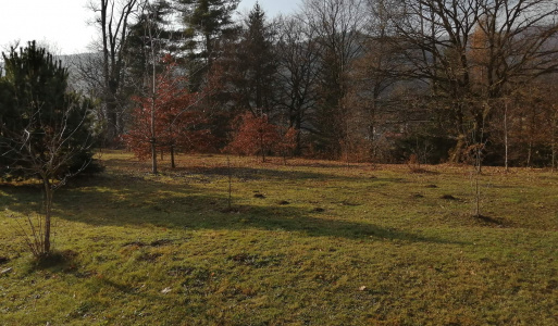 Zabudnutá architektúra Rusínov Zabudnutá architektúra Rusínov